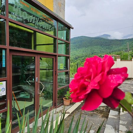 Family Hotel Komhotel Berkovica Kültér fotó