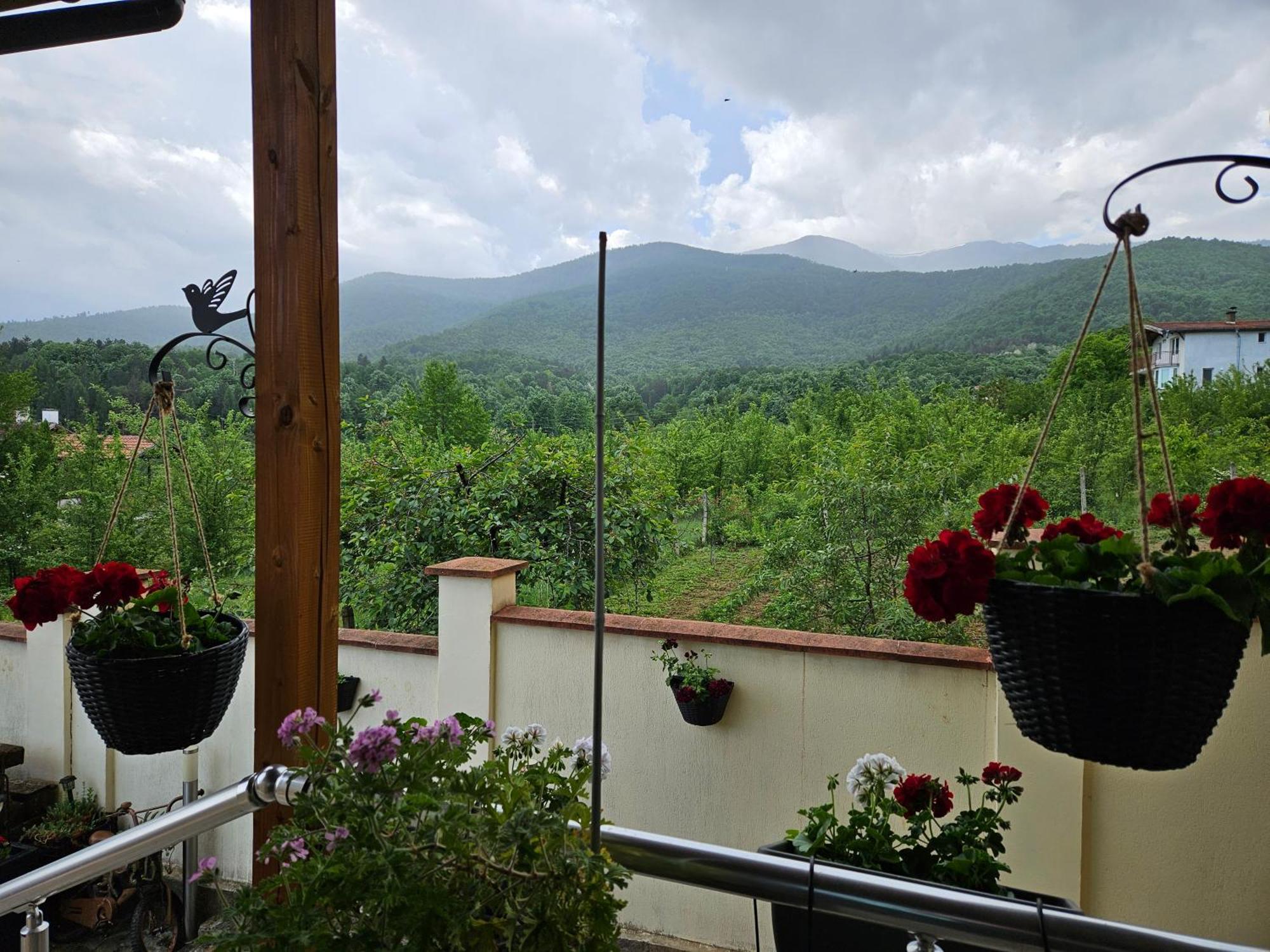 Family Hotel Komhotel Berkovica Kültér fotó